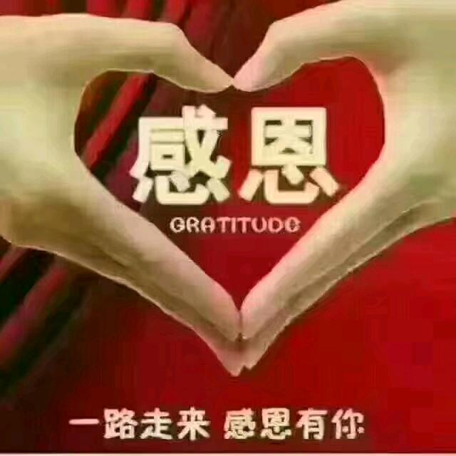 我是张姐
