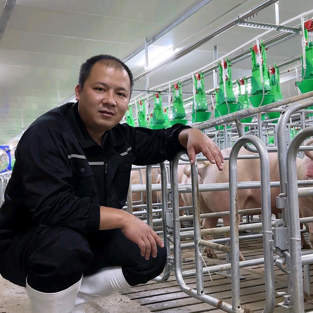 阿奎在养猪