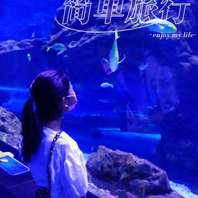 果果