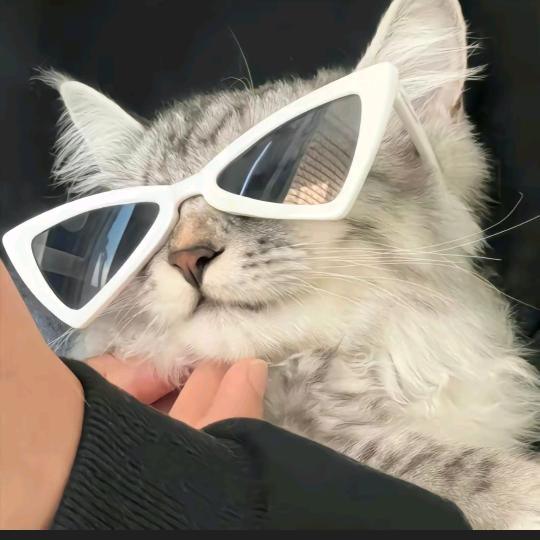 麦旋风还没吃完