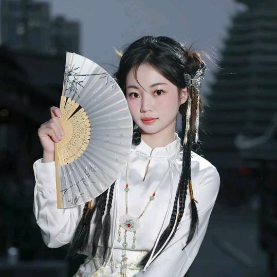 gao高高