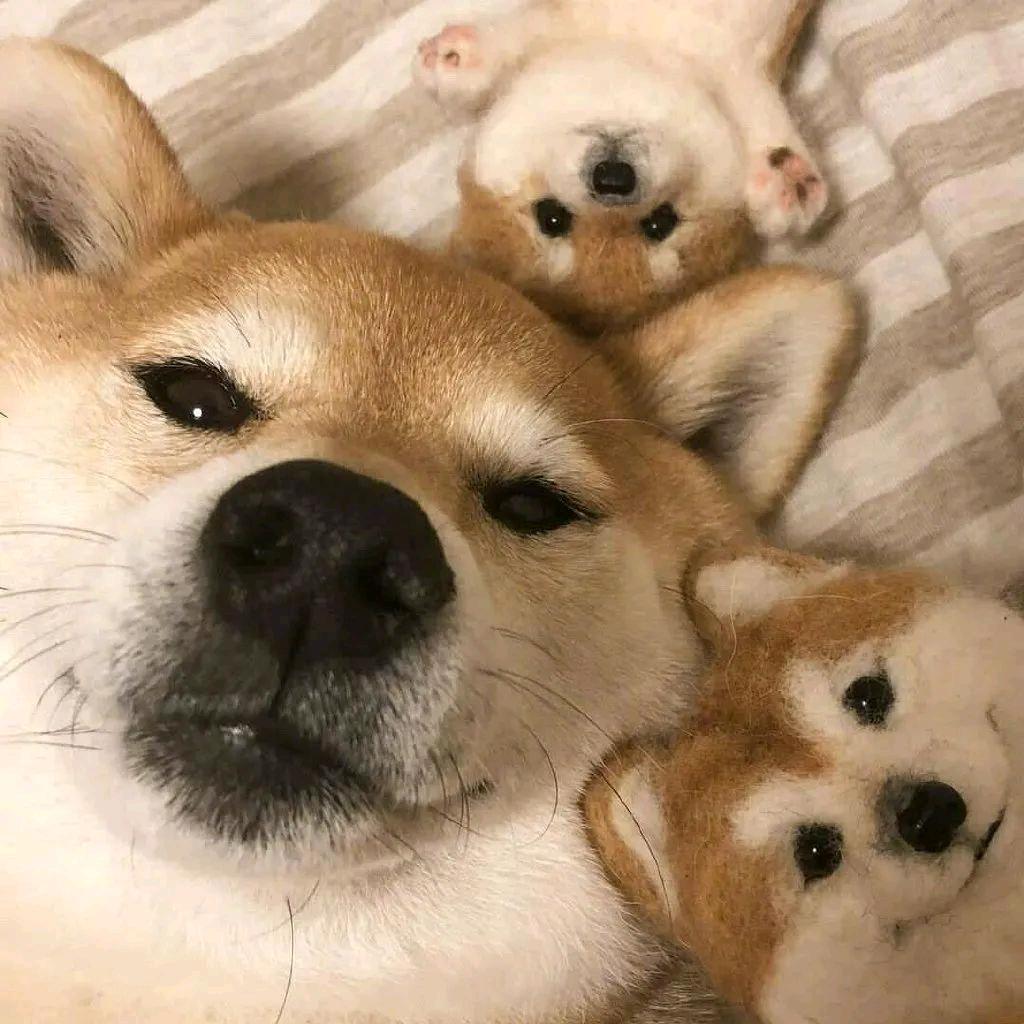 陌陌陌