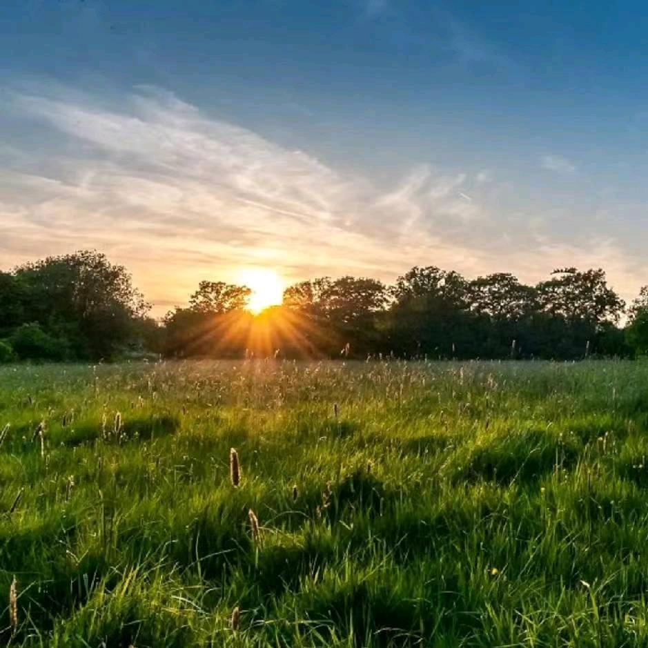 最美不过遇见你