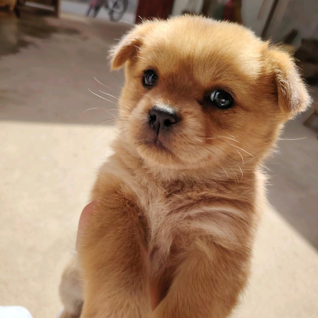 不如微笑的你