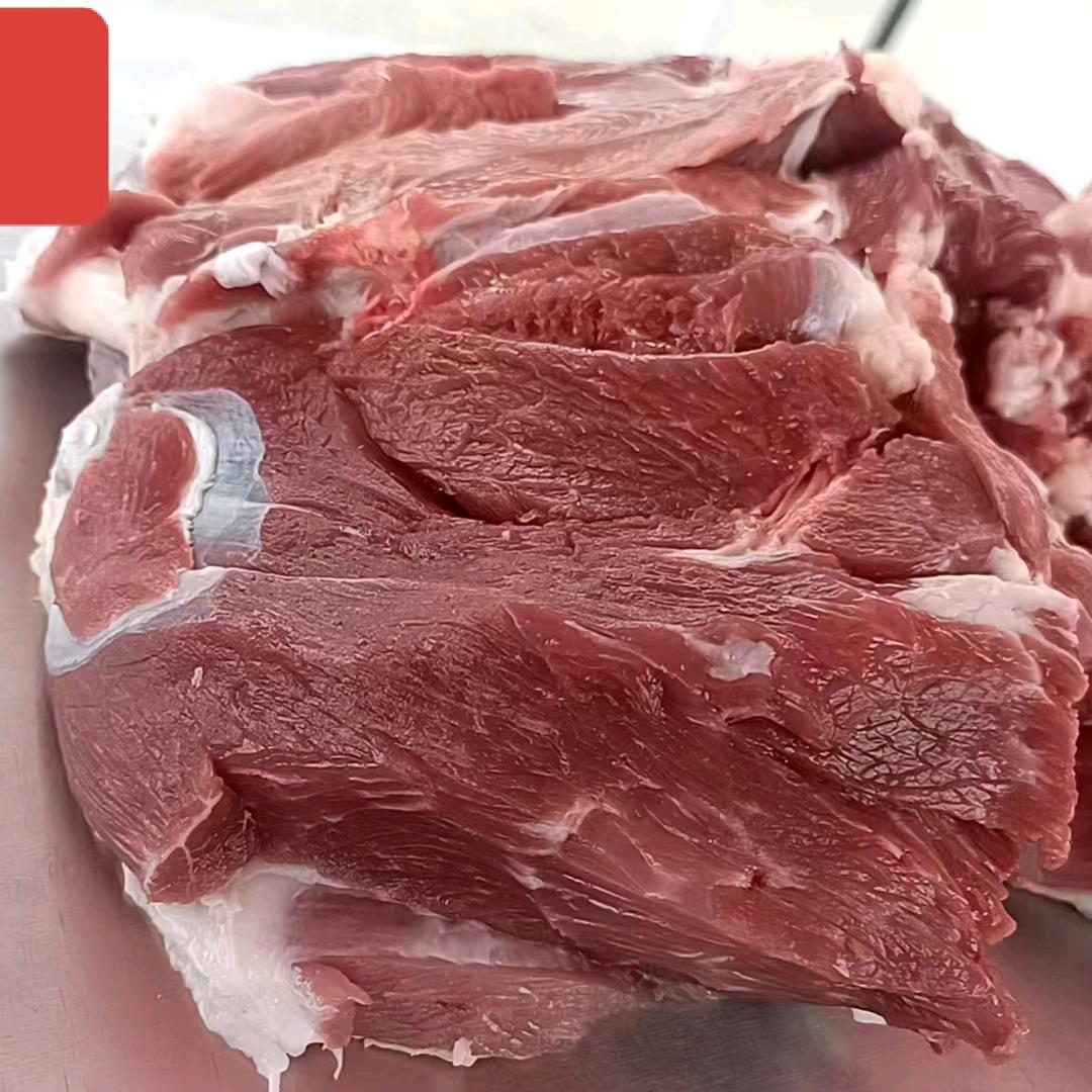 莱州虎头崖北张村羊肉（常年收羊）