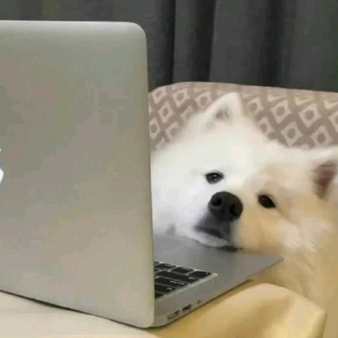 阿巴阿巴玛卡巴卡