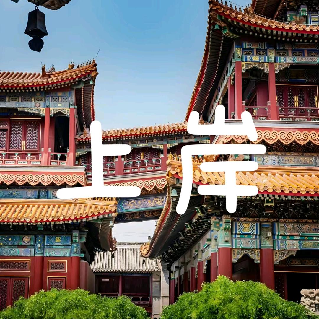 中创教育