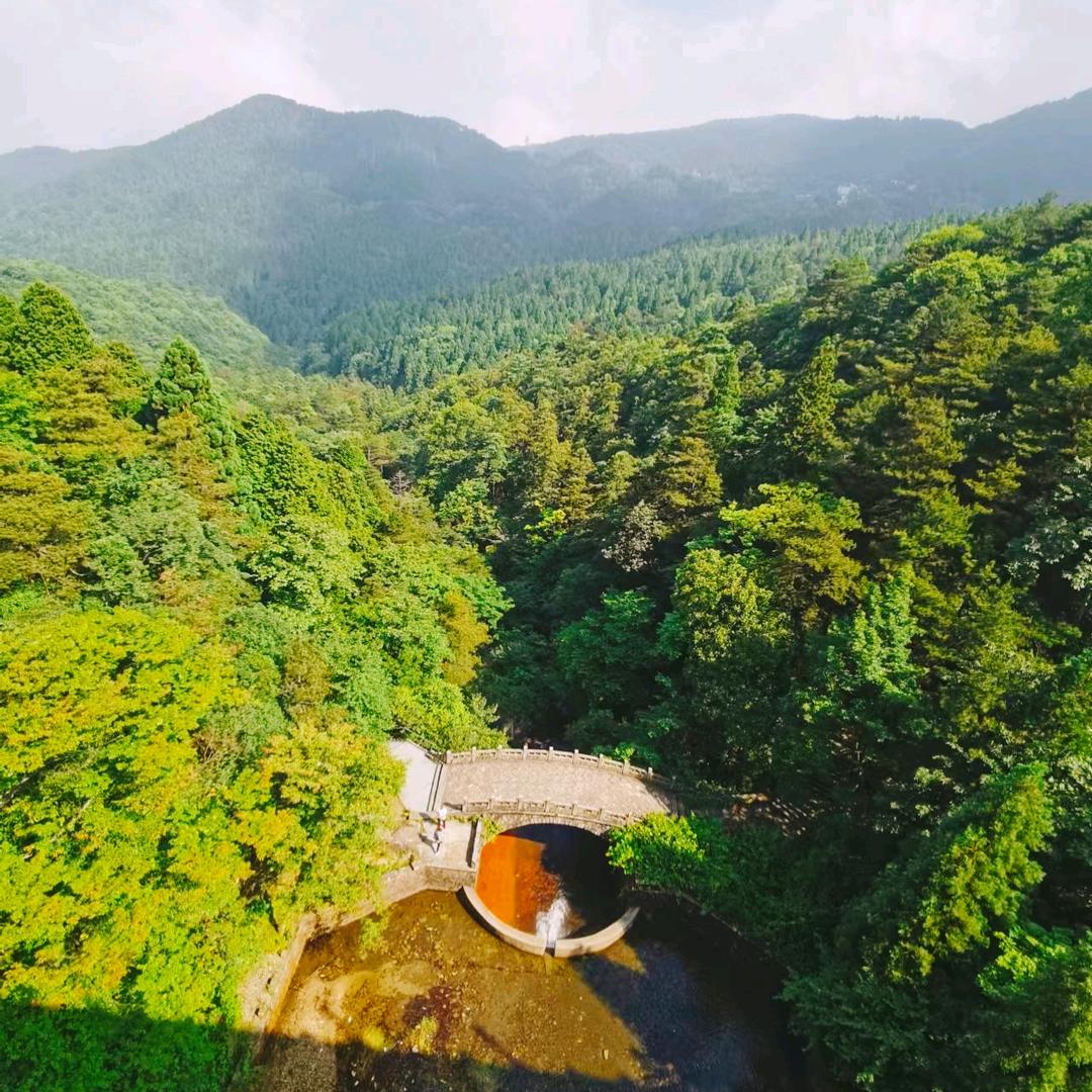 余生只爱财