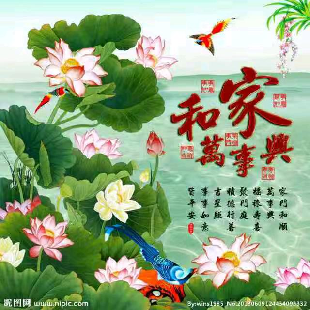 看穿世界！低调做人