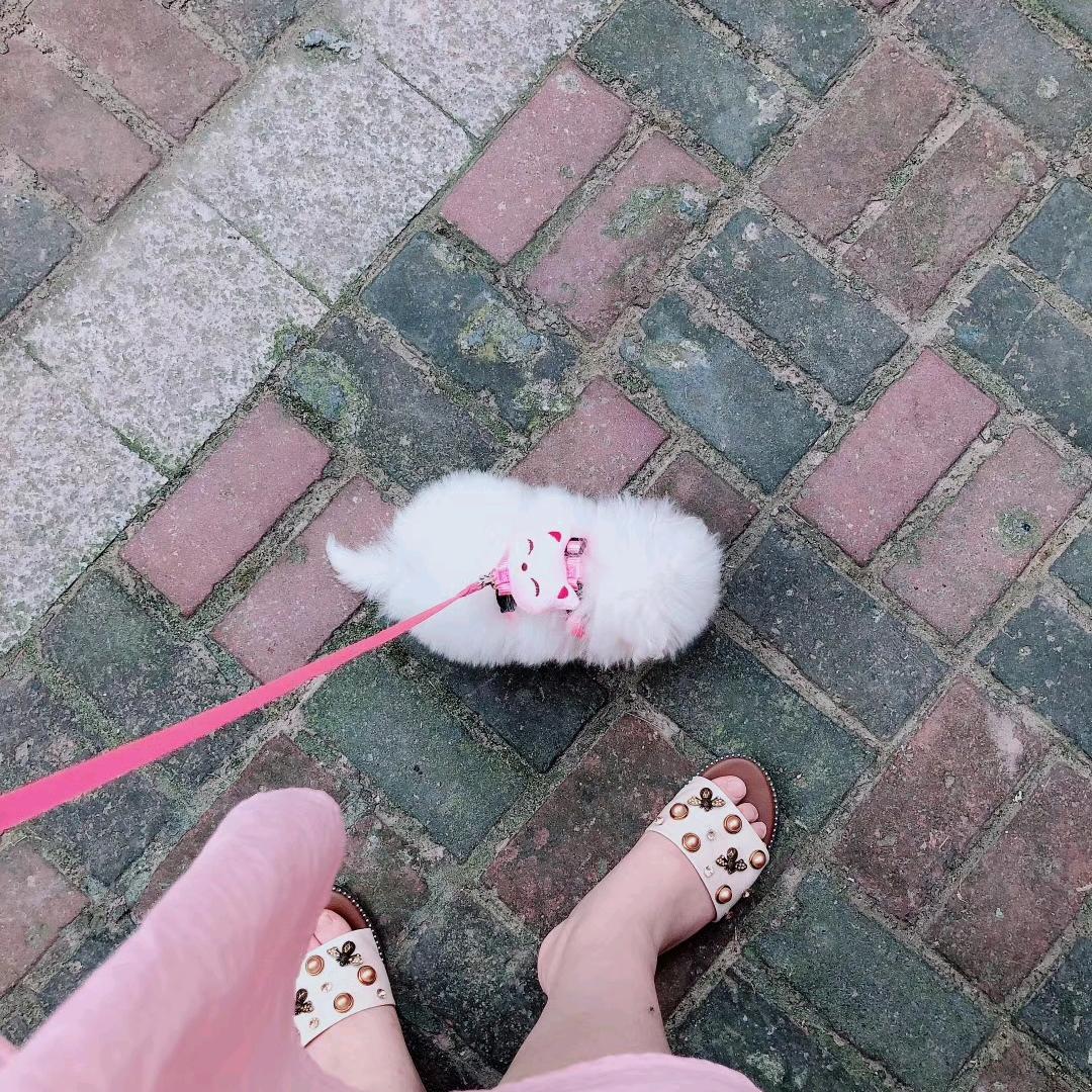 安怪怪～