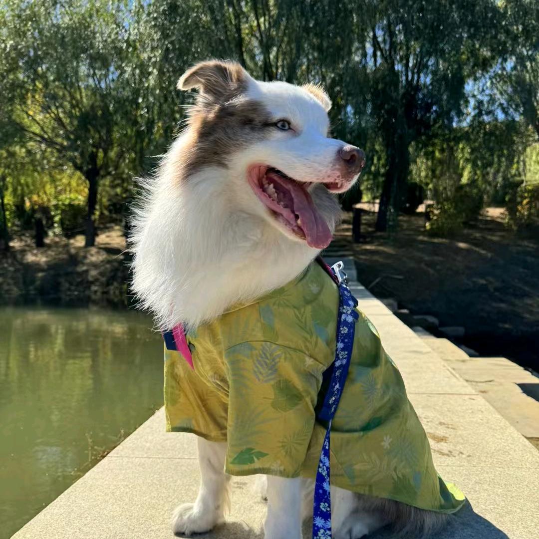 进宝宝💕💕💕