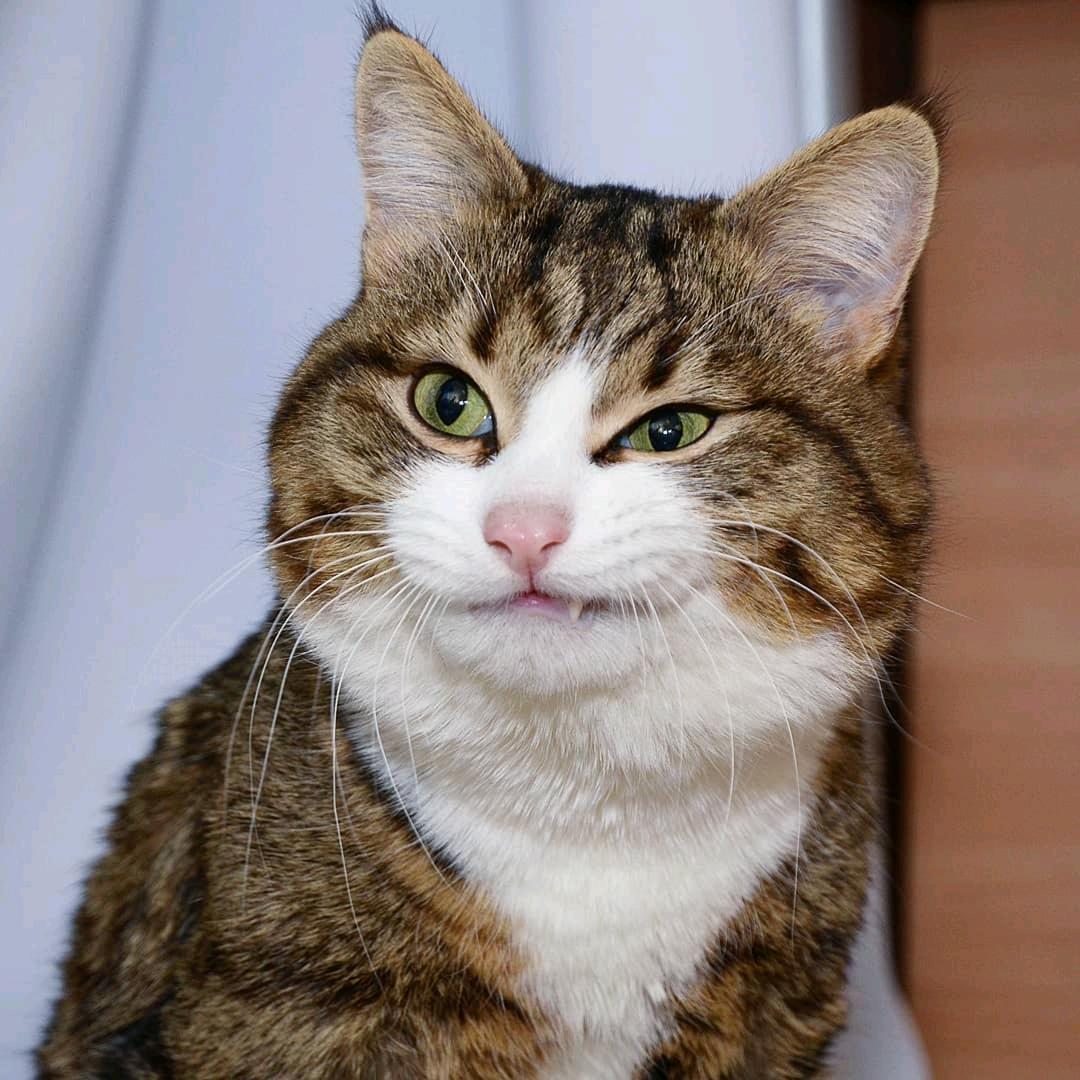 时光岁月