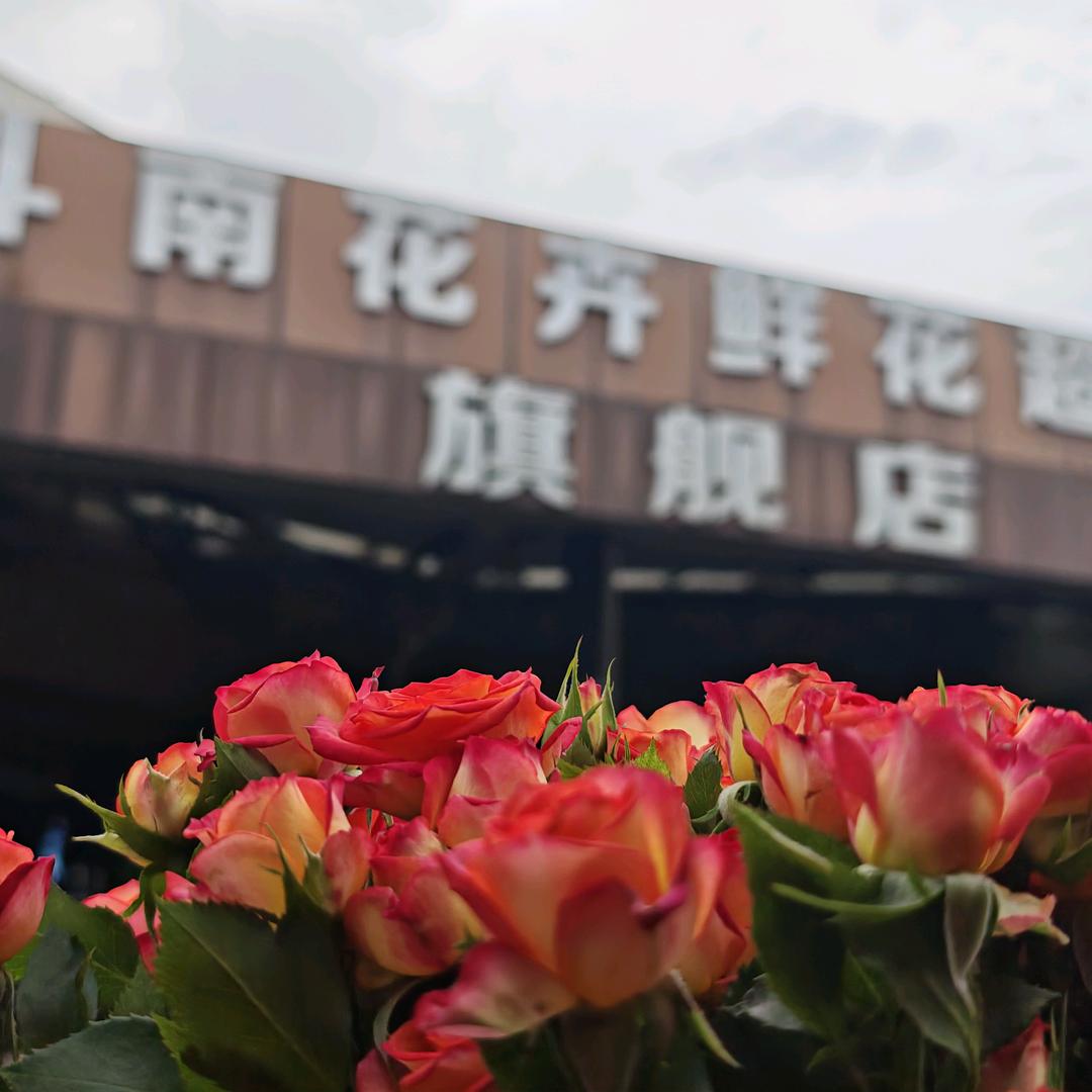 小阳鲜花批发