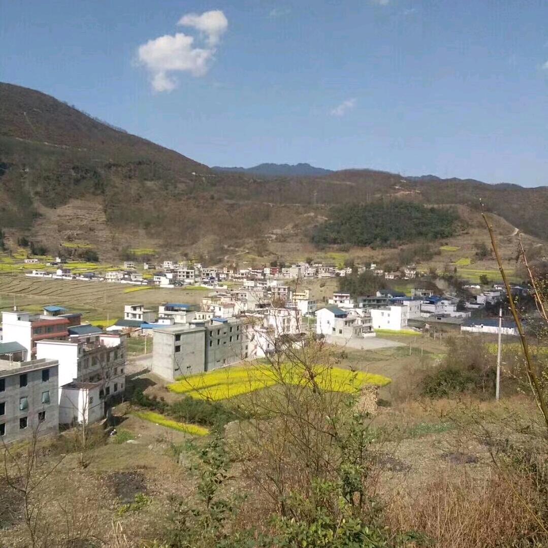 万事顺心