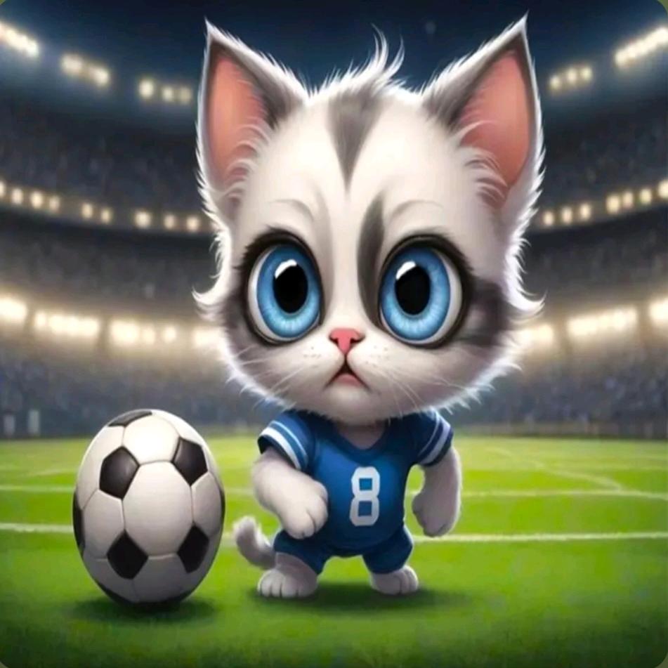 逆风的方向，适合飞翔！