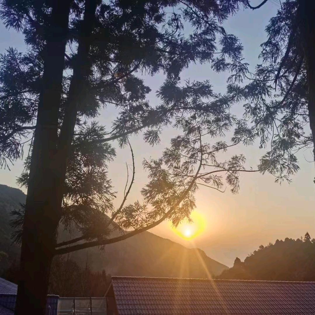 曙才游艺