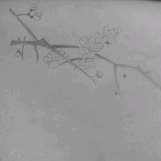 一枝梅.