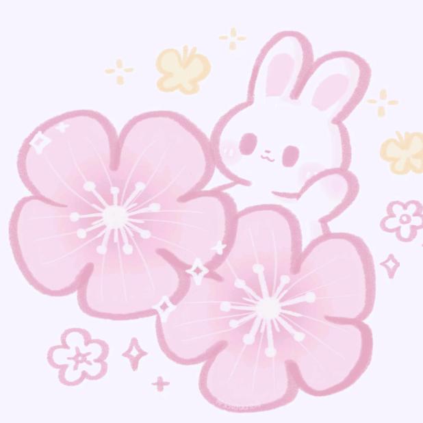 银红🦋