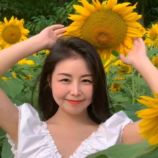 杨柳依依