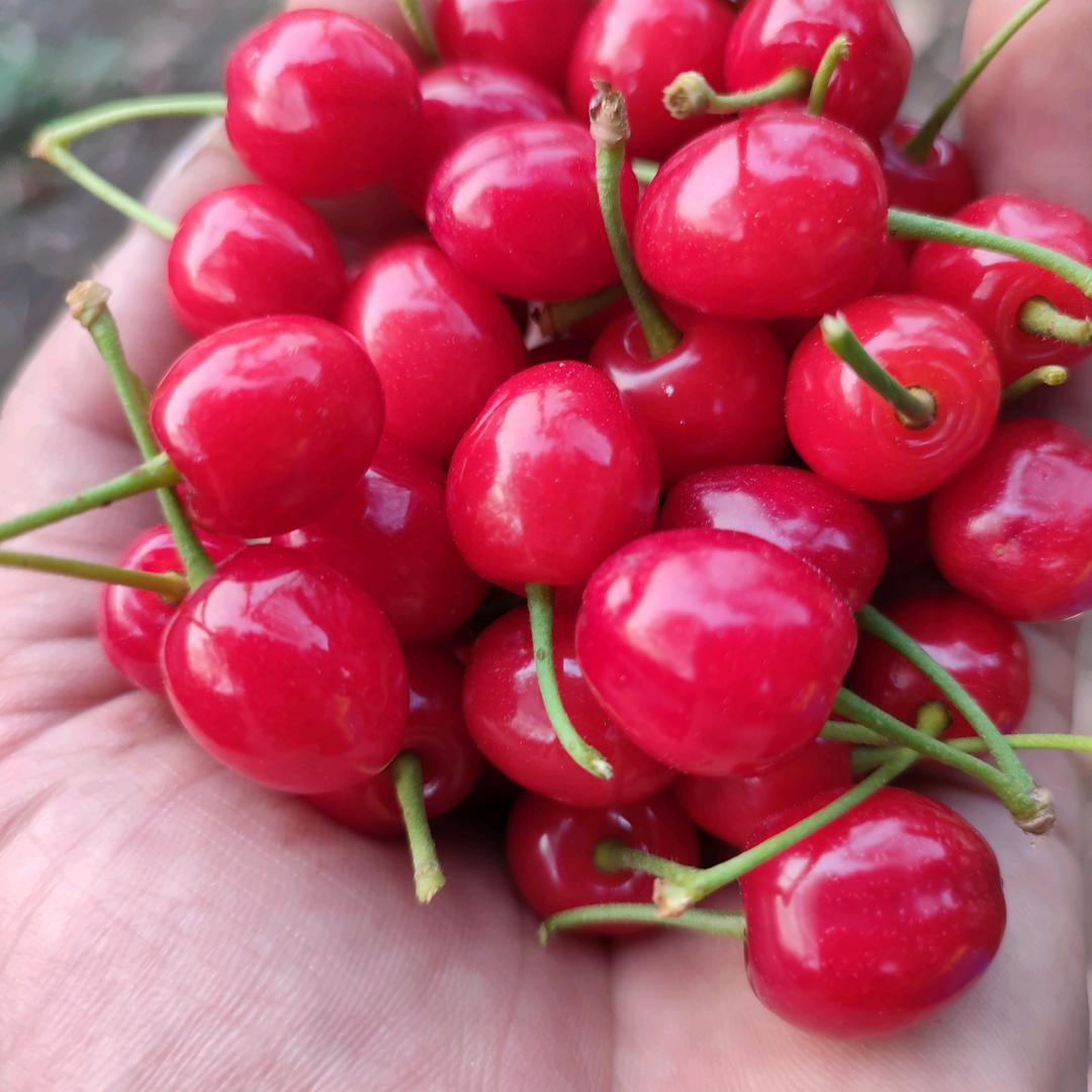 忘记曾经，过好每一天