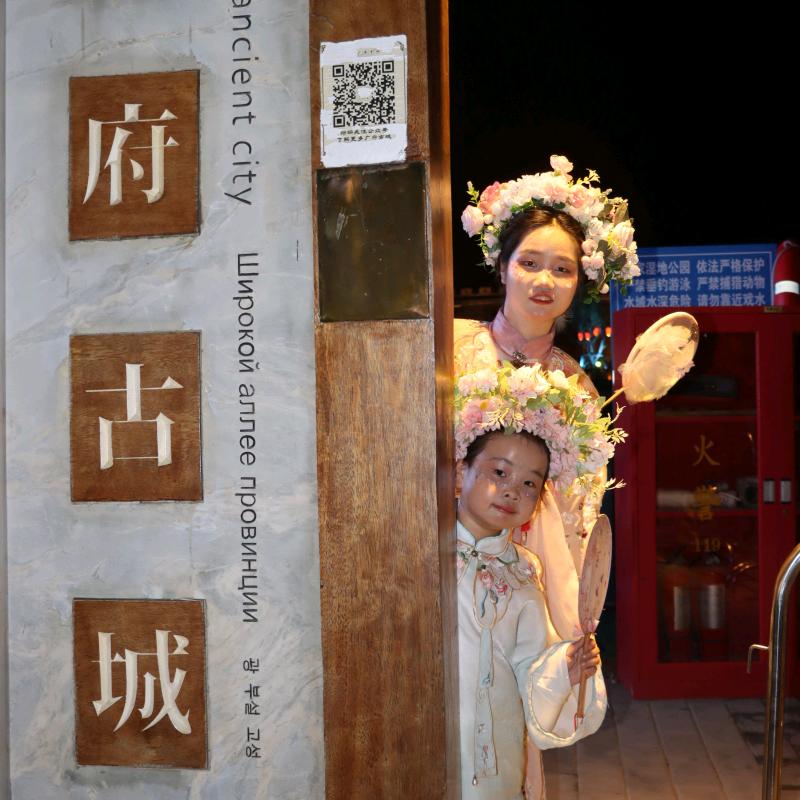 大嘉紧固件（热镀锌平弹垫）