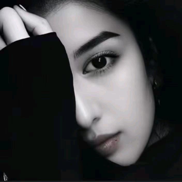 zulfi 橱窗用品小号