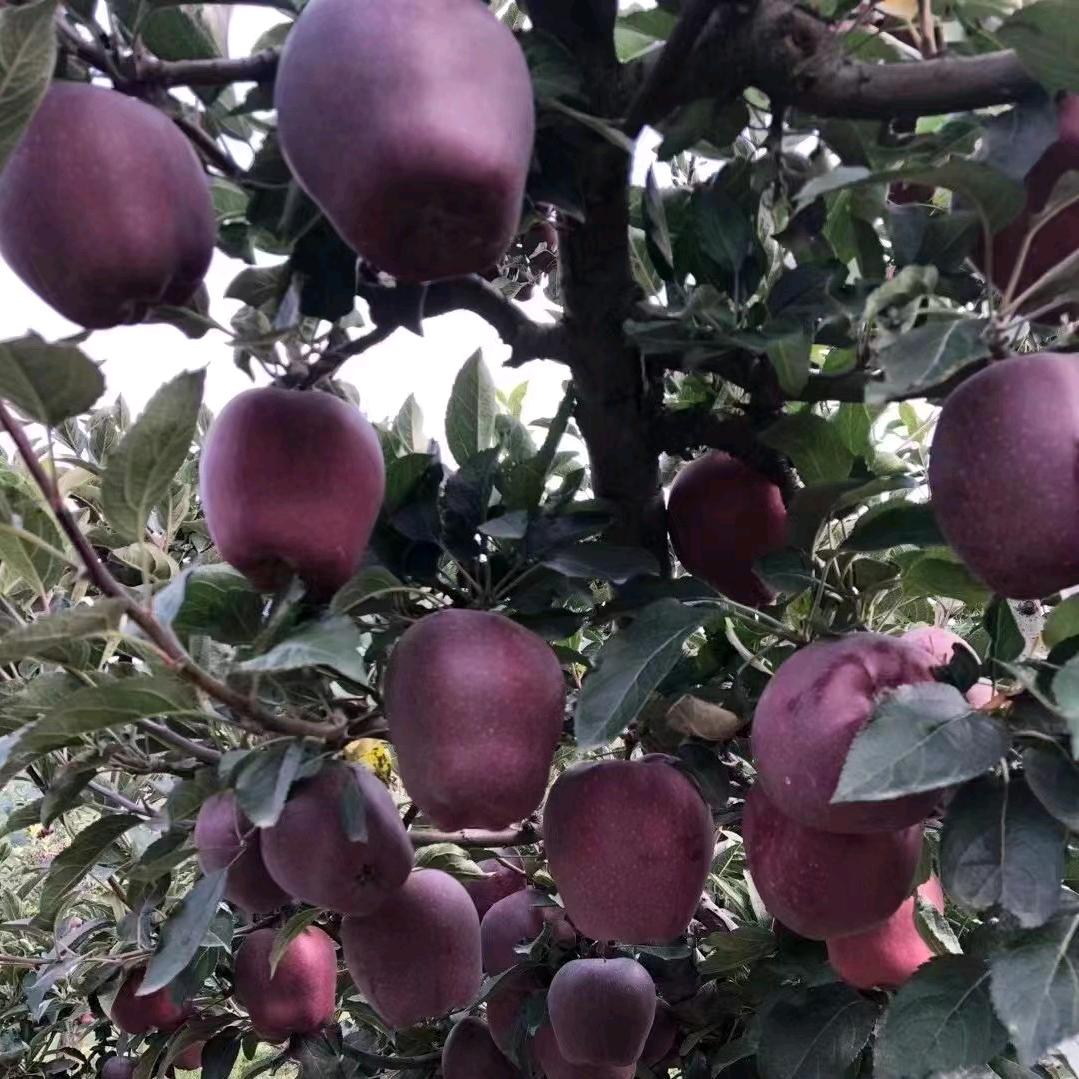 我爱我家