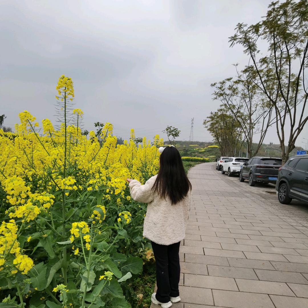 人生只如初见！