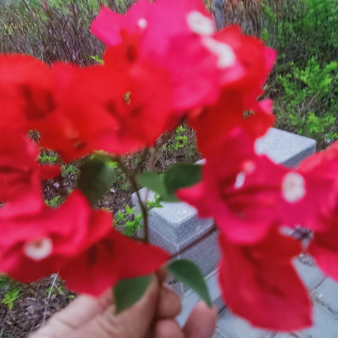 珍惜缘份