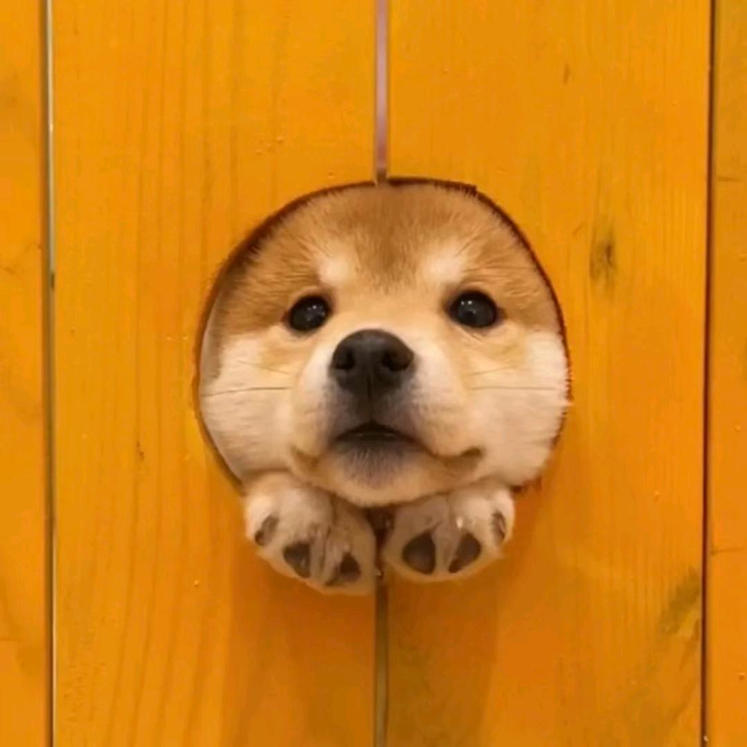 于yu