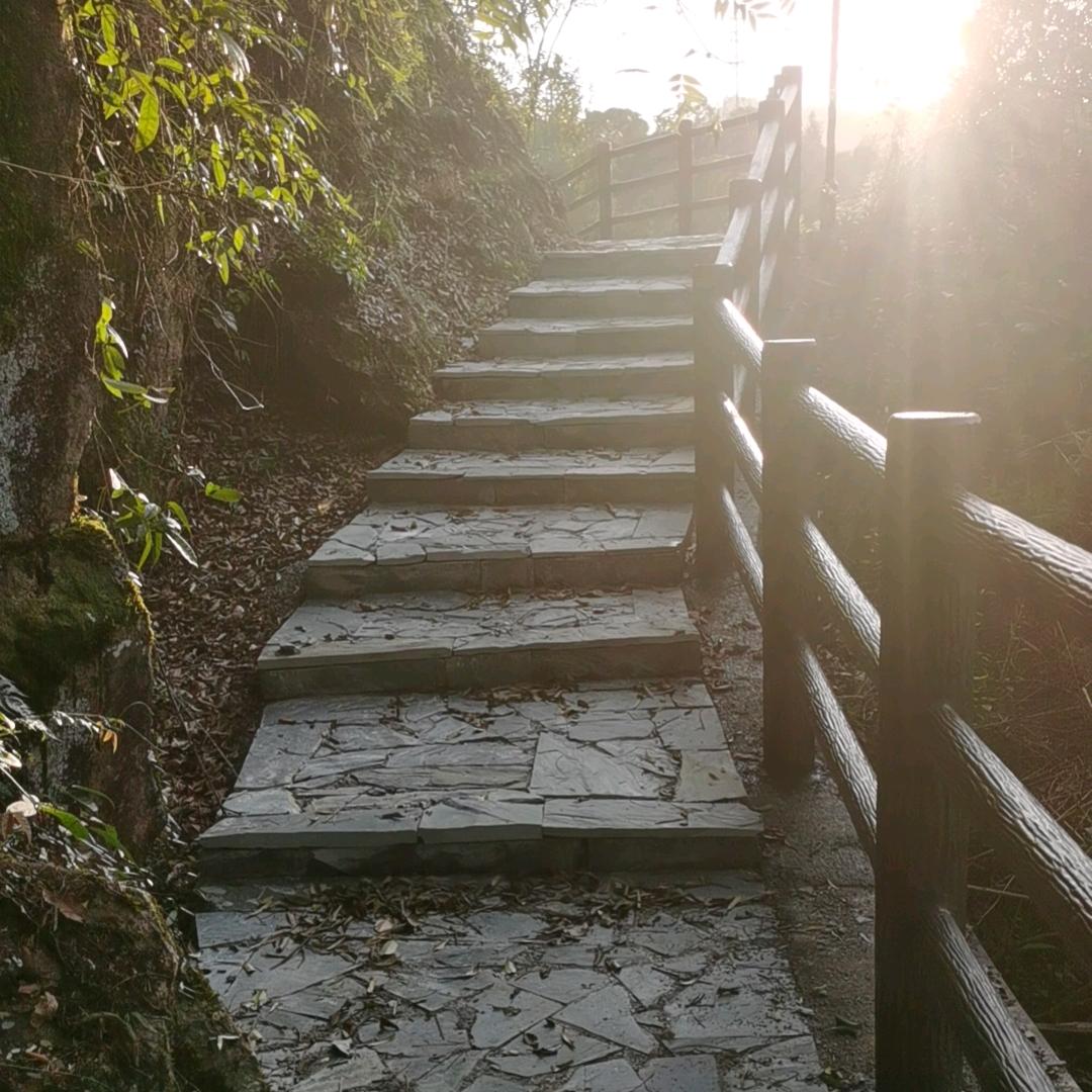 迪尼卡🐇