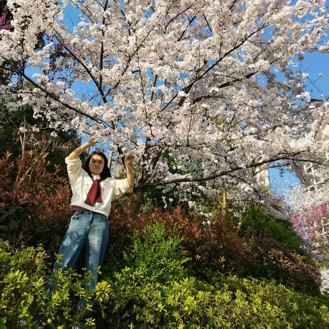 陈堡里有公主🍃