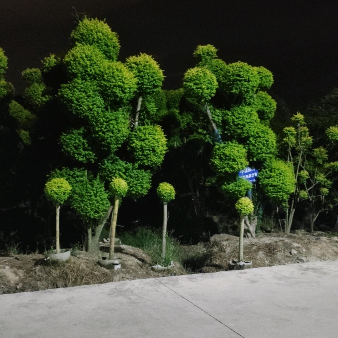 红美一次性餐具批发