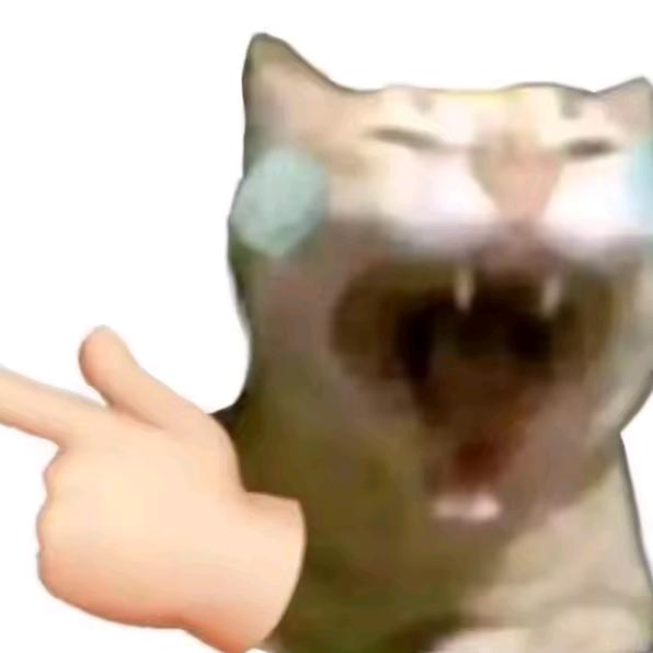 交易猫