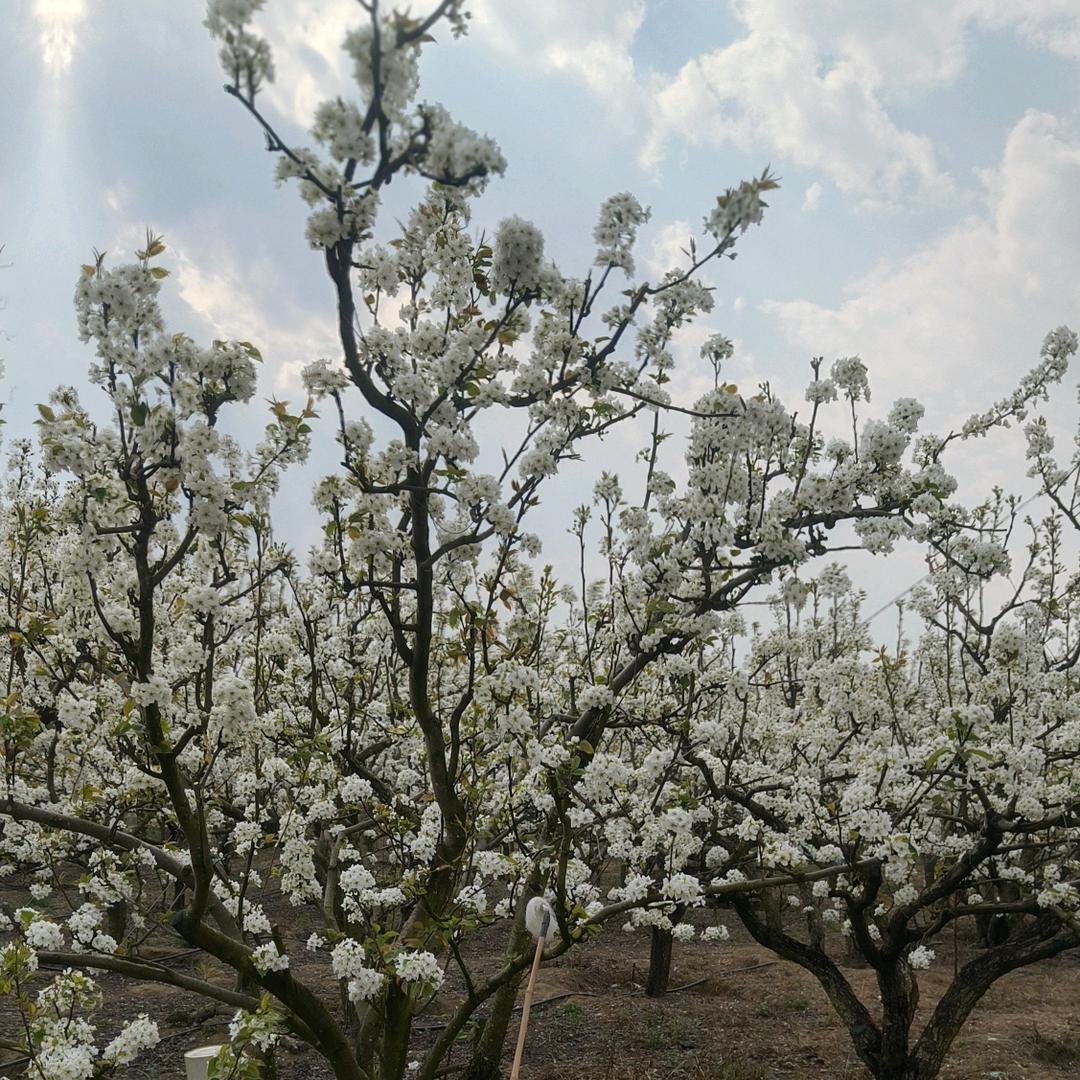 做门窗的小姐姐