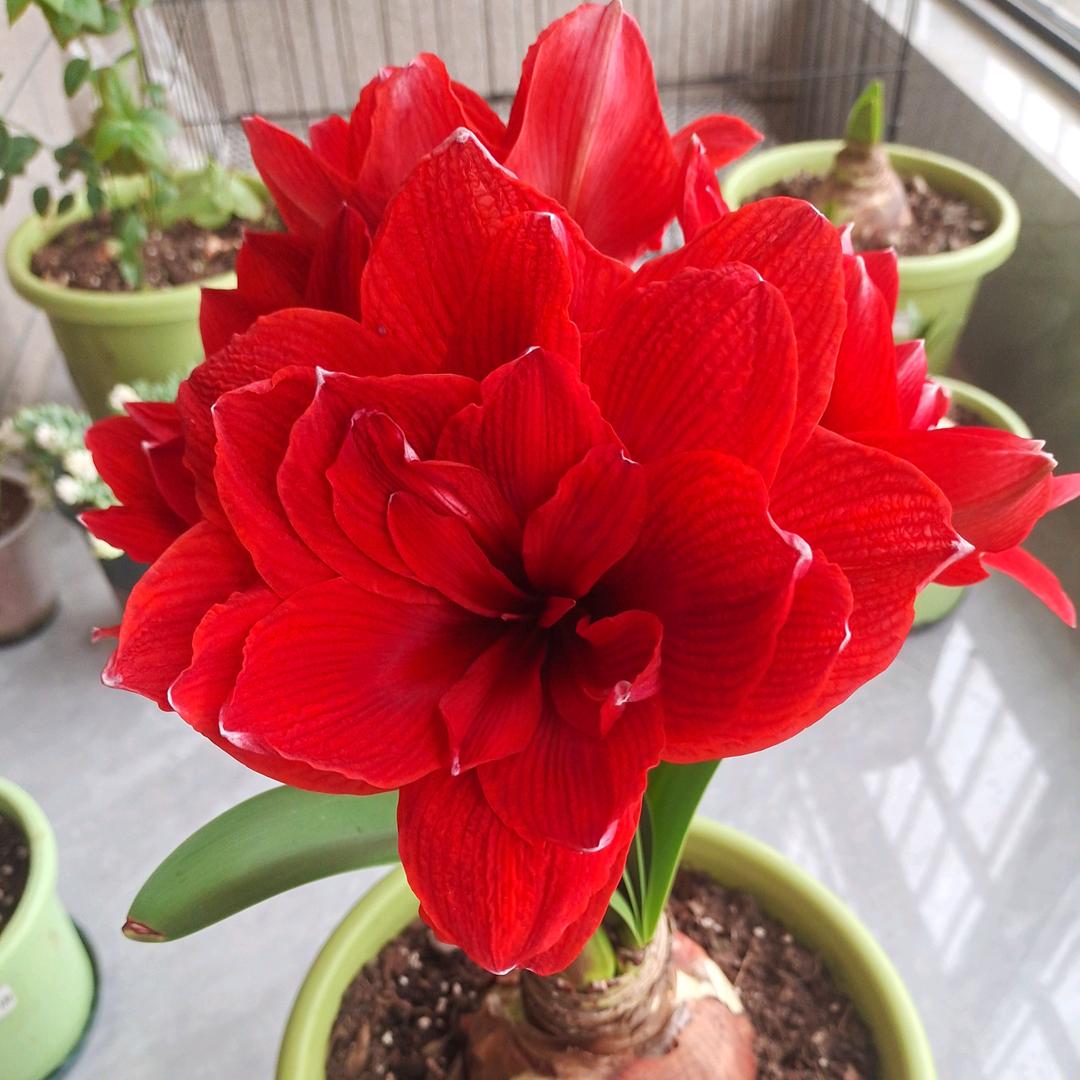 珍惜眼前活在当下（橱窗有好物）