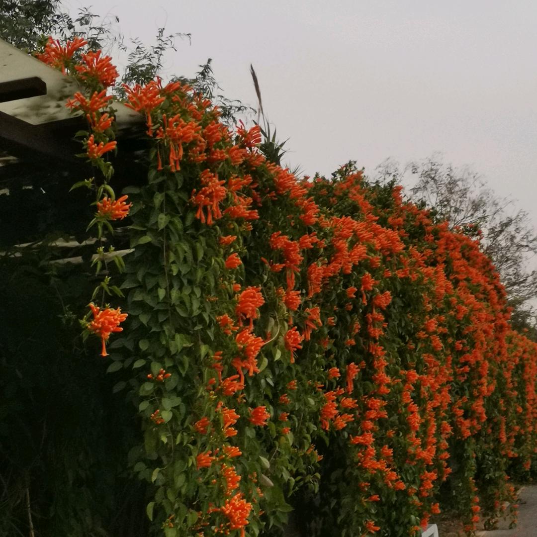 啊广ℒℴѵℯ℘࿐