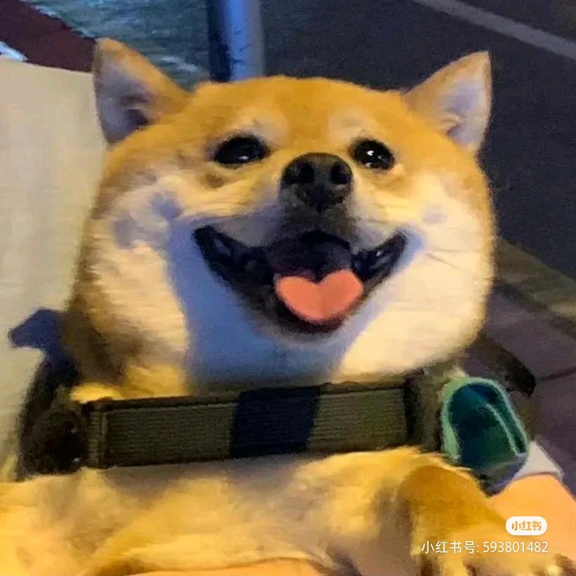 红姐二手车销售经营部