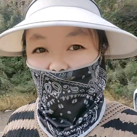东北洋姐