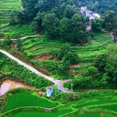 &一场秋雨&一场寒&