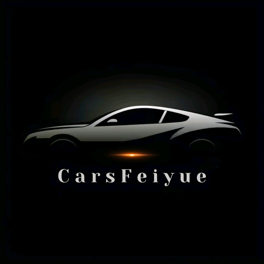 车动态CarsFeiyue