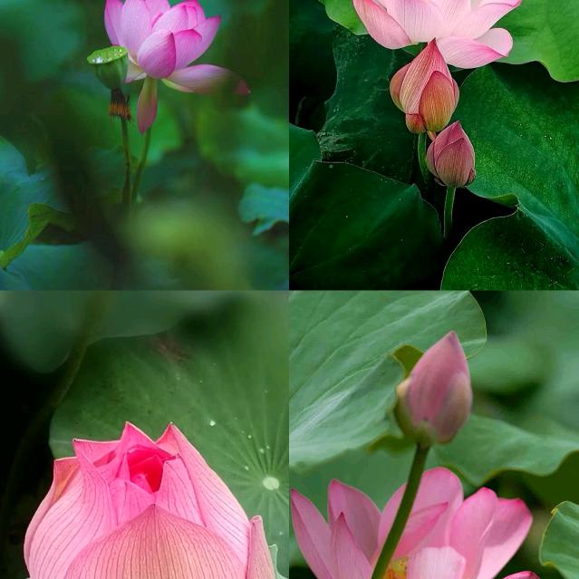 明 天 更 好