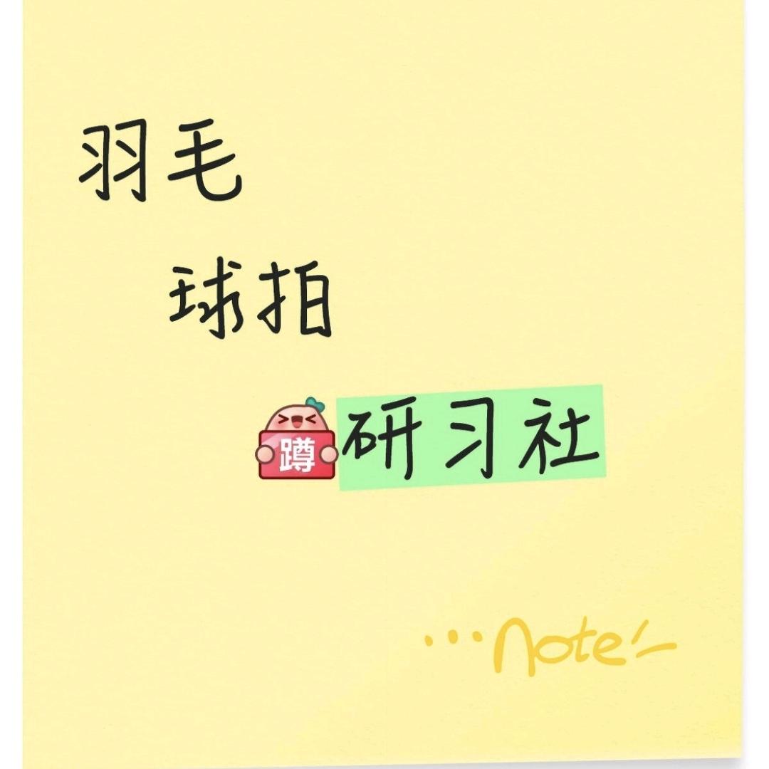 羽拍研习社