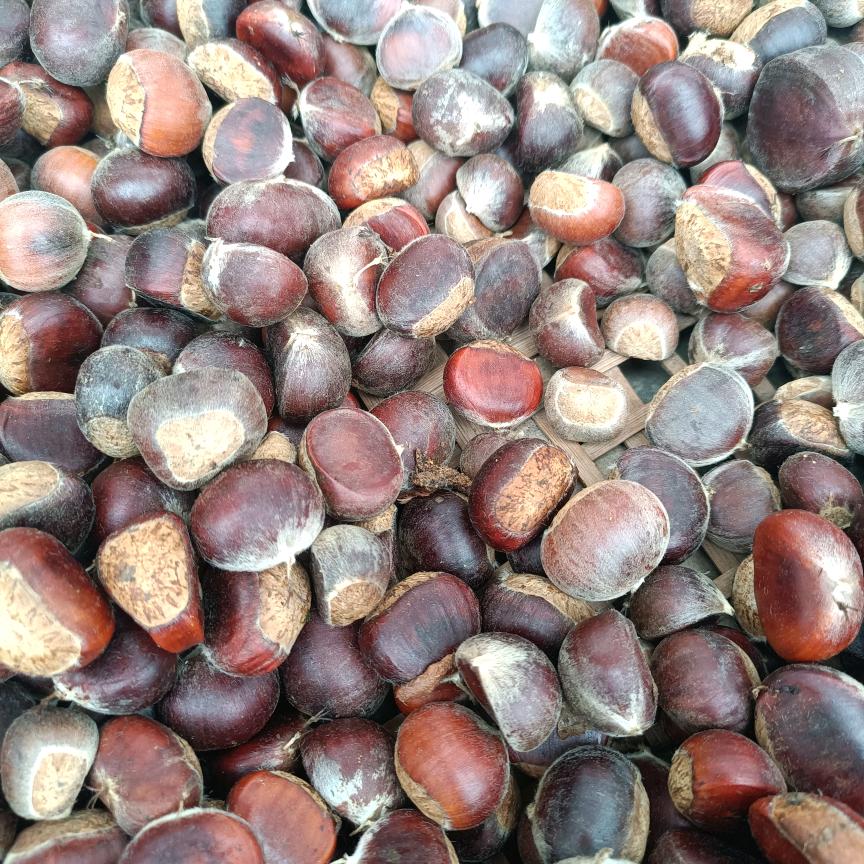 🌼随偶而改变🌼