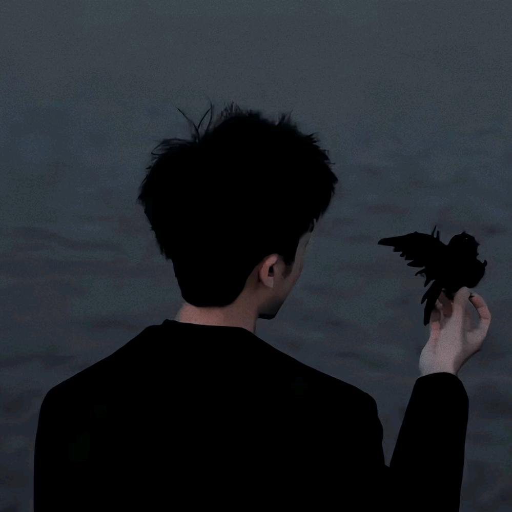黑乌鸦🐦‍⬛