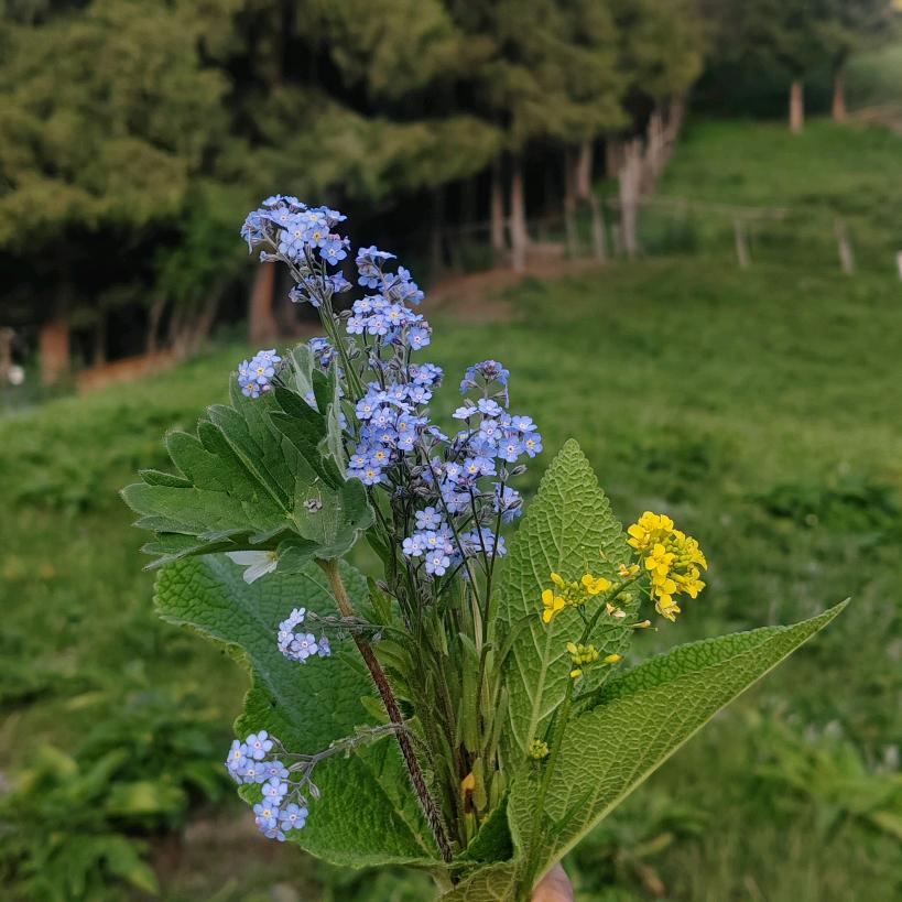 @养沁❣️