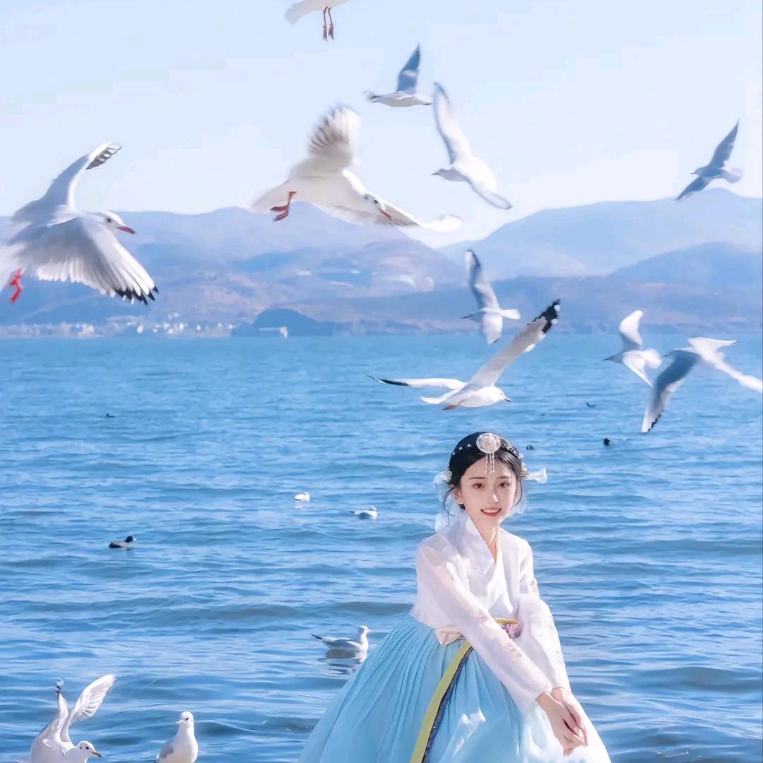 顺风旅行