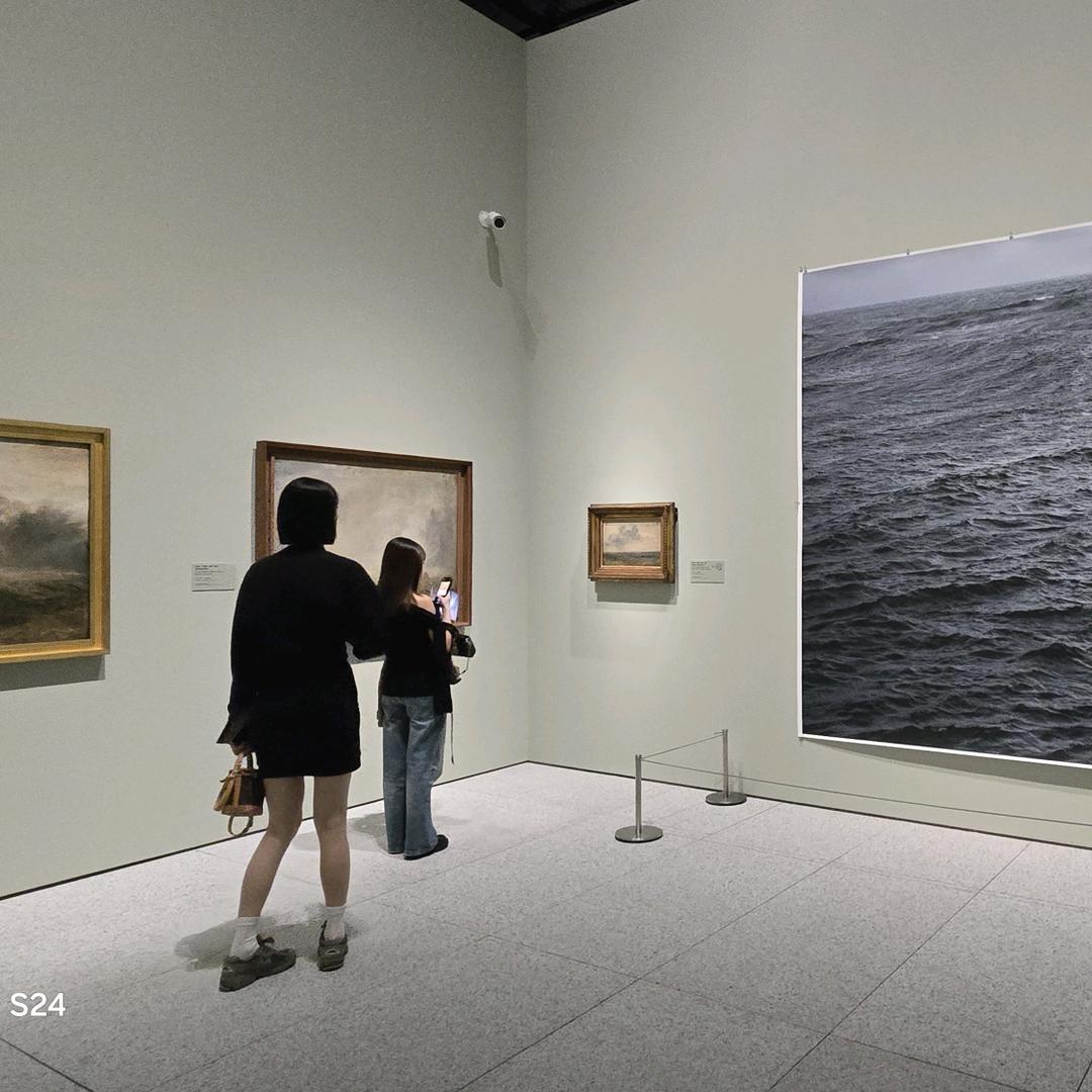 硅灰石纤维Bingo