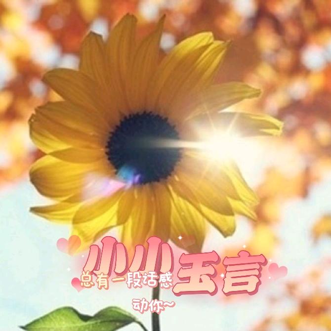 小小玉言