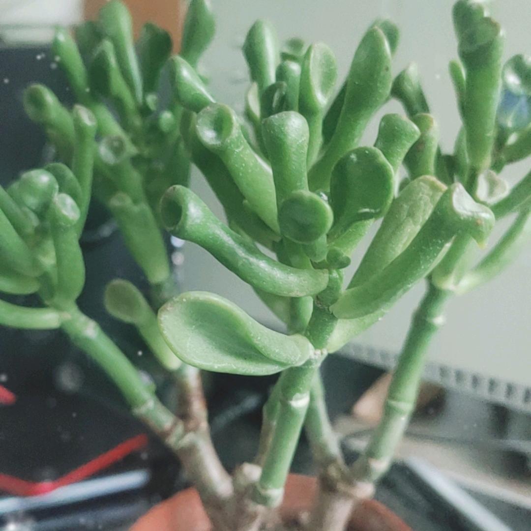 丰江百货百货